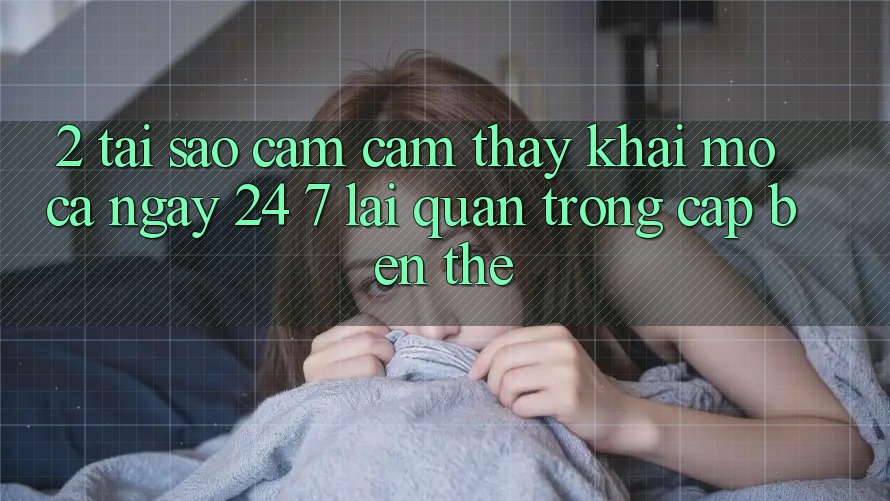 2. Tại Sao Cảm cảm thấy “Khai mở Cả Ngày” (24/7) Lại Quan Trọng Cập bến Thế? 2. Tại Sao Cảm cảm thấy “Khai mở Cả Ngày” (24/7) Lại Quan Trọng Cập bến Thế?