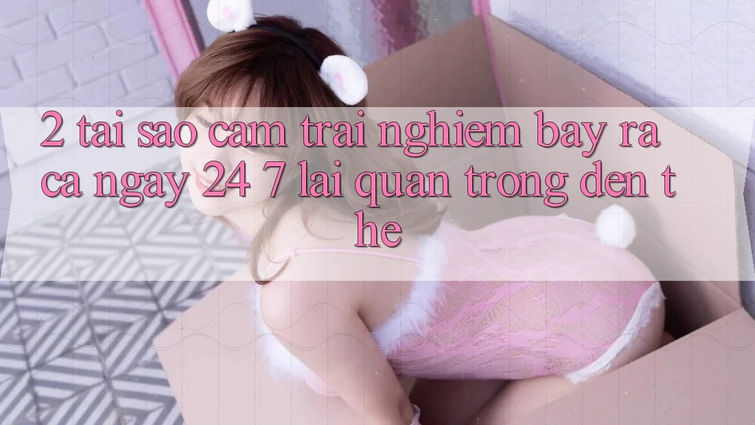 2. Tại Sao Cảm trải nghiệm “Bày ra Cả Ngày” (24/7) Lại Quan Trọng Đến Thế?