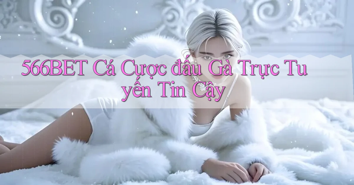 566bet  cá cược đấu gà trực tuyến tin cậy