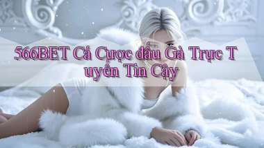 566bet  cá cược đấu gà trực tuyến tin cậy