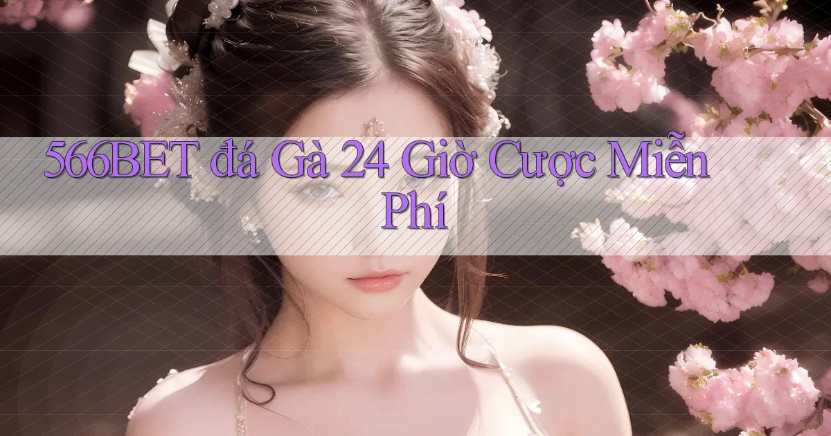 566bet  đá gà 24 giờ cược miễn phí