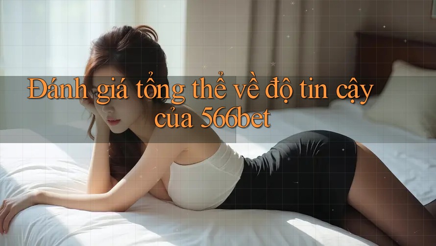 Đánh giá tổng thể về độ tin cậy của 566bet