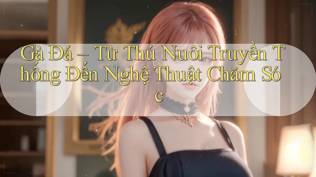 Gà Đá – Từ Thú Nuôi Truyền Thống Đến Nghệ Thuật Chăm Sóc