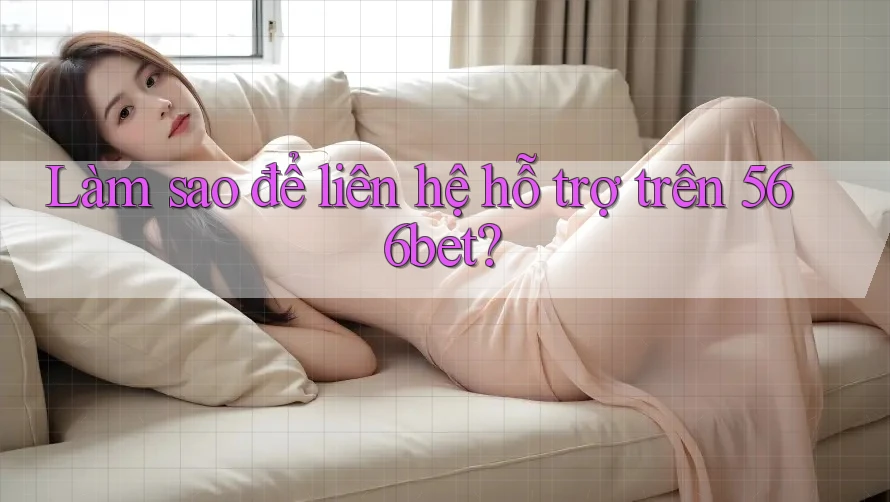 Làm sao để liên hệ hỗ trợ trên 566bet?