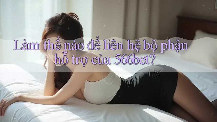 Làm thế nào để liên hệ bộ phận hỗ trợ của 566bet?