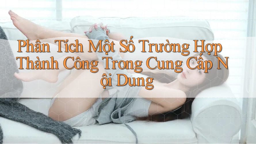 Phân Tích Một Số Trường Hợp Thành Công Trong Cung Cấp Nội Dung