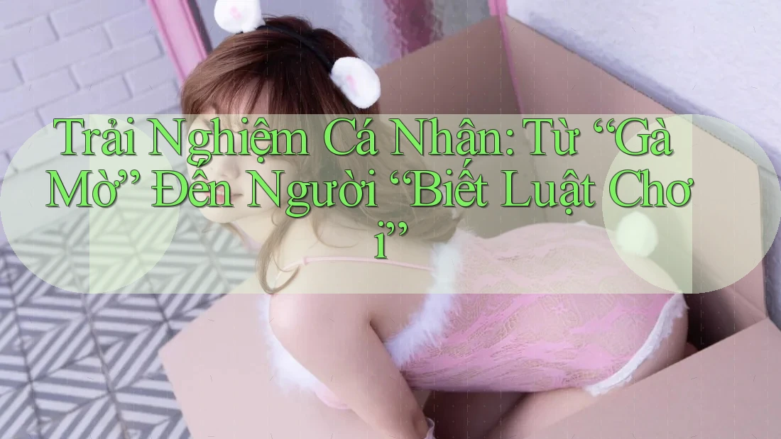 Trải Nghiệm Cá Nhân: Từ “Gà Mờ” Đến Người “Biết Luật Chơi”